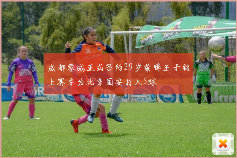 成都蓉城正式签约29岁前锋王子铭上赛季为北京国安打入5球