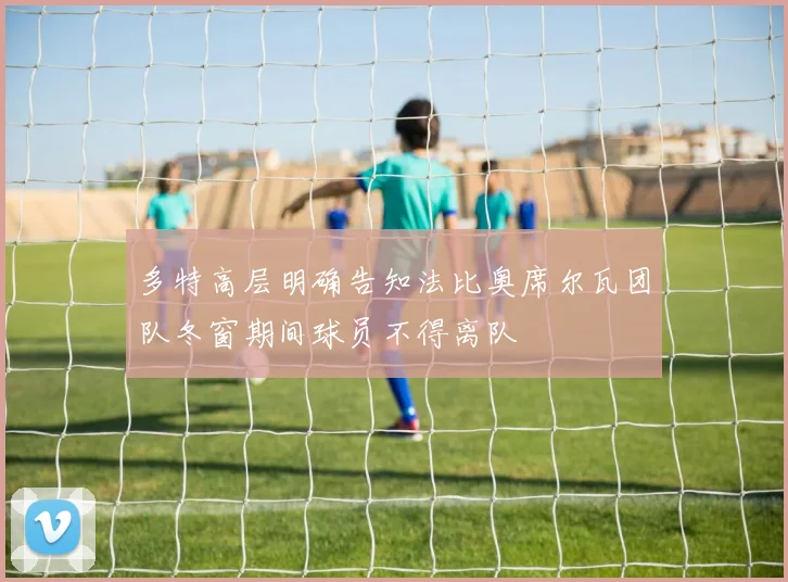 多特高层明确告知法比奥席尔瓦团队冬窗期间球员不得离队
