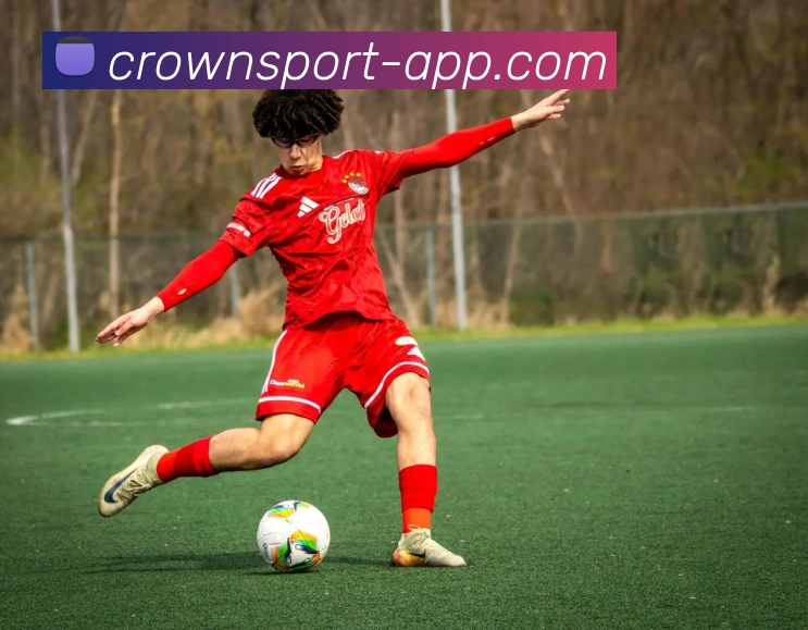 皇冠体育平台生态图